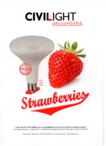 led-lamp-aardbei-folder-voor
